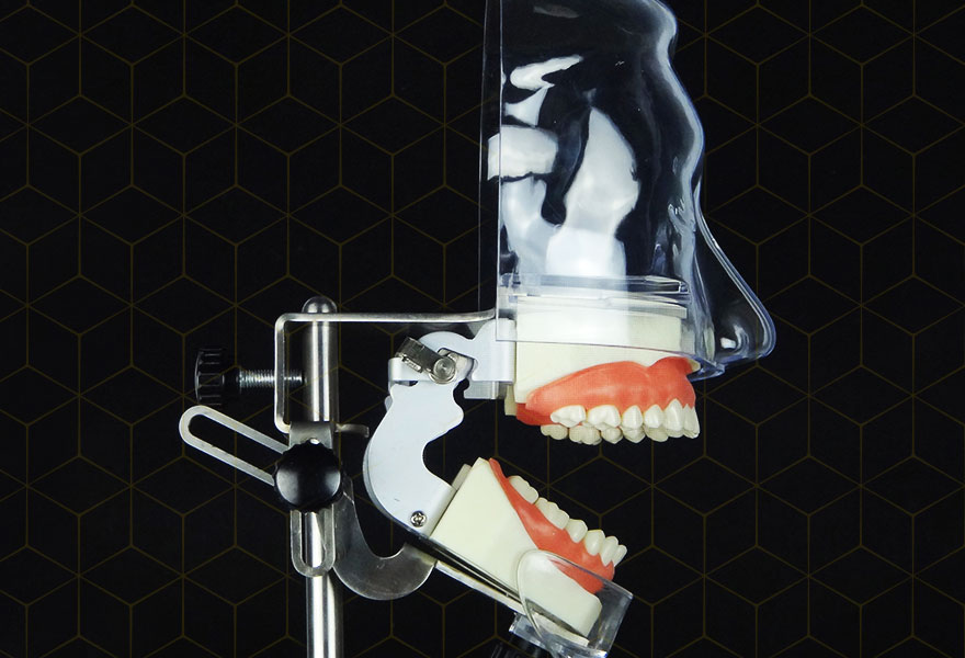 This is Poo1 dental head simulate model