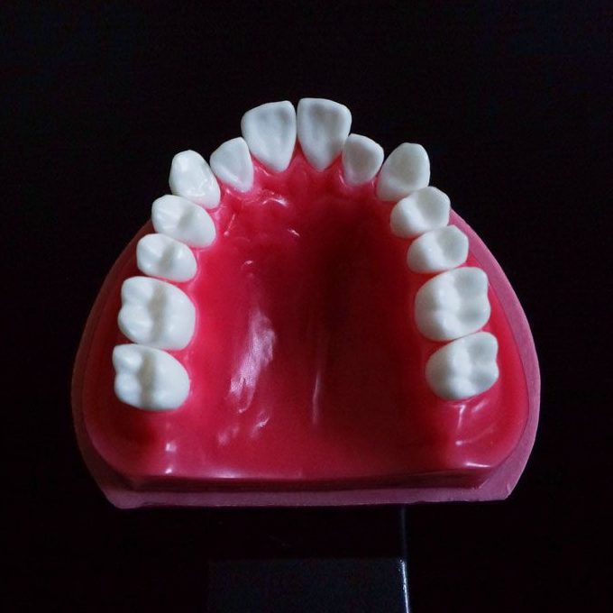 pratica ortodontica typodont